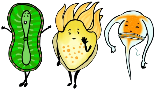 Picture plankton